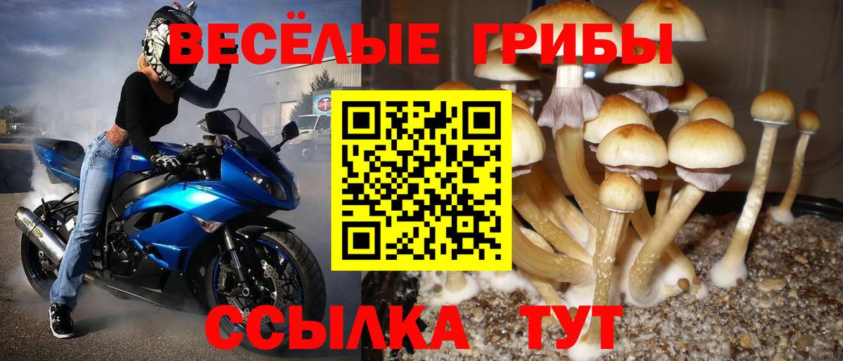 Абакан  Псилоцибиновые грибы GOLDEN TEACHER  Вход с VPN 